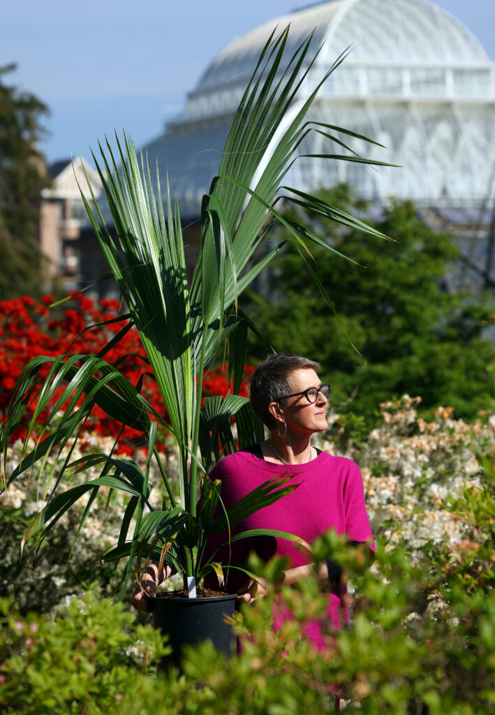 Made In Scotland / Edinburgh Festival Fringe showcase launch with Karine Polwart's 'Windblown' show